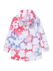 Подробное изображение