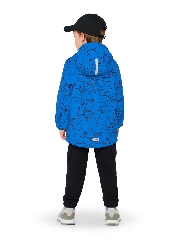 Подробное изображение