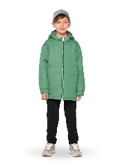 Подробное изображение