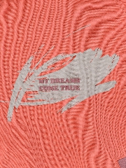 Подробное изображение