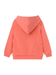 Подробное изображение