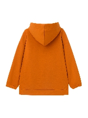 Подробное изображение