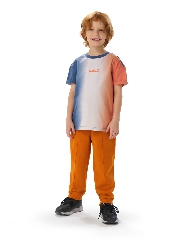 Подробное изображение