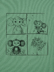 Подробное изображение