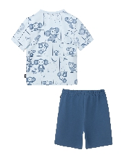 Подробное изображение