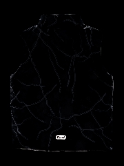 Подробное изображение